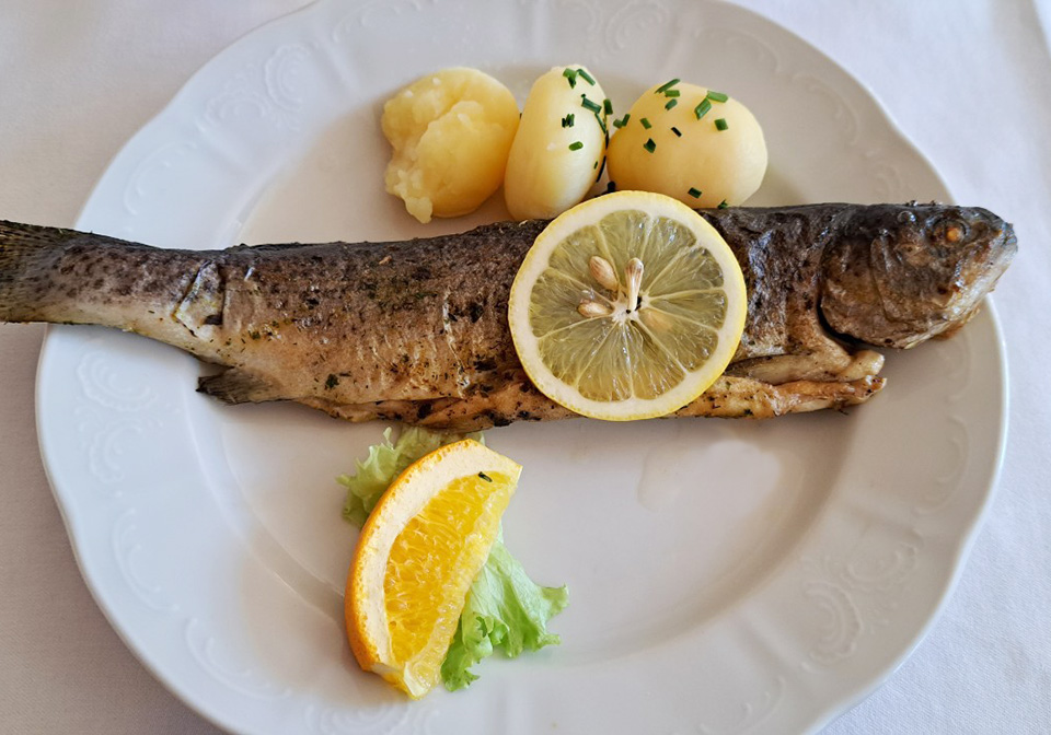黑森林,黑森林蛋糕,蒂蒂湖,Titisee