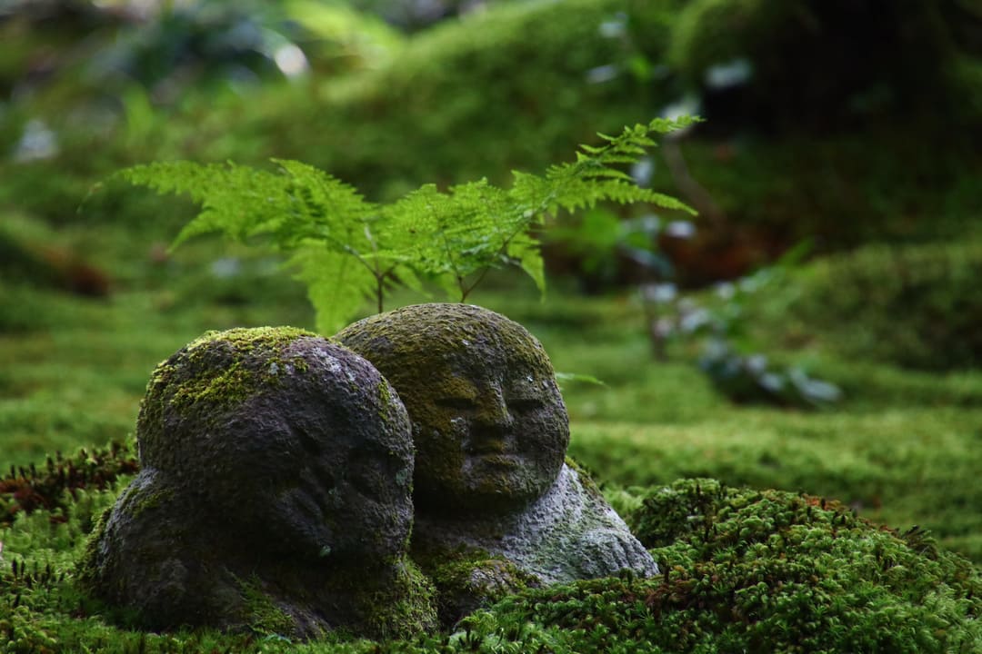 行程特色圖片
