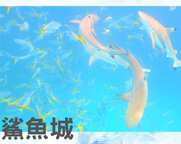行程特色圖片