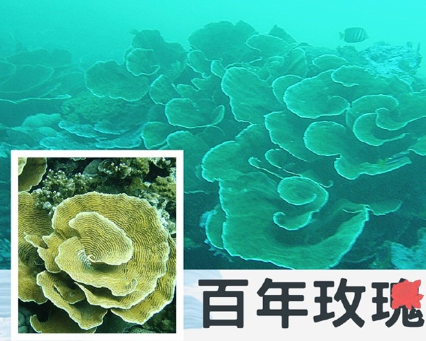 行程特色圖片