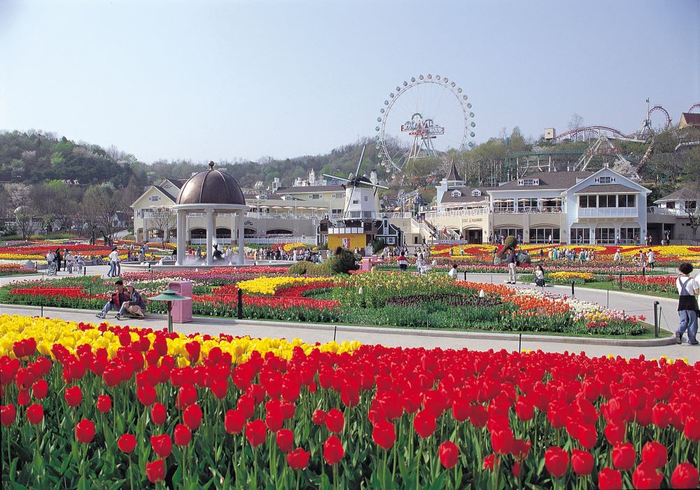 韓國愛寶樂園EVERLAND