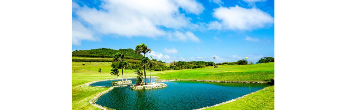 Sedayu 球場輪播_1200x382