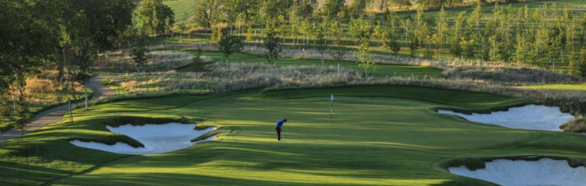 球場輪播_1200x382