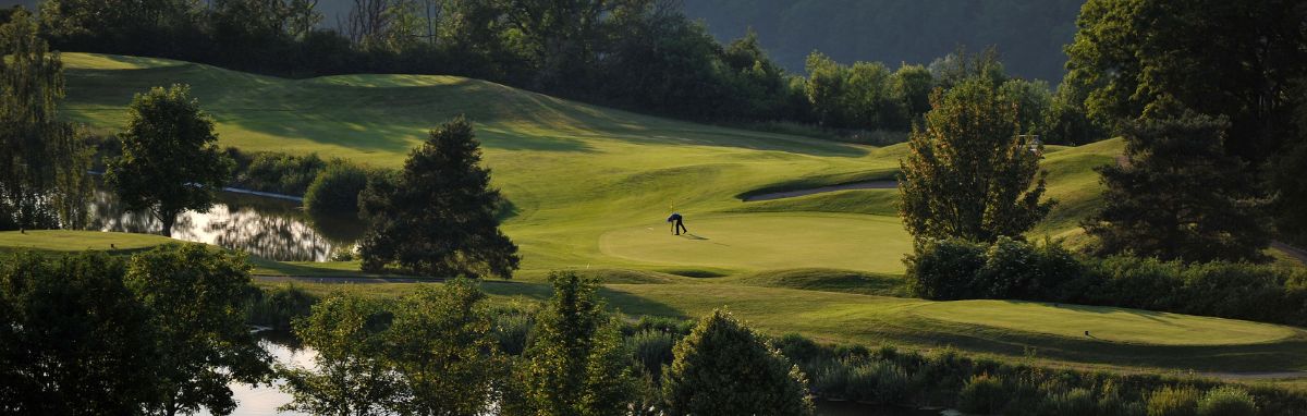 Imperial球場輪播_1200x382