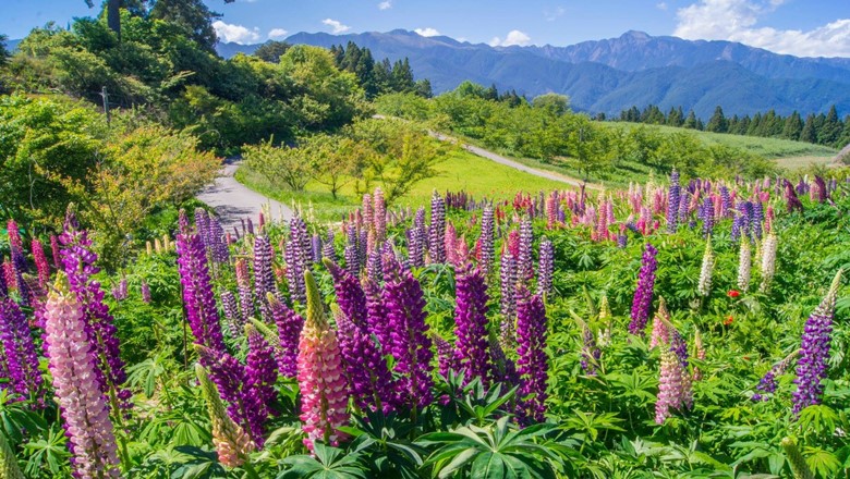 福壽山農場