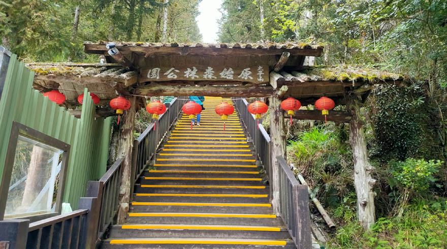 太平山原始林步道