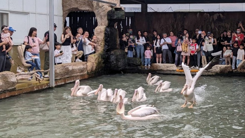蘭陽動植物王國