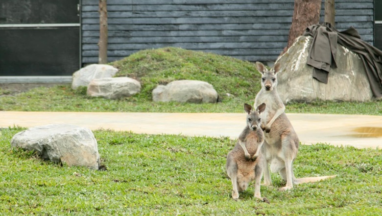 蘭陽動植物王國,農場