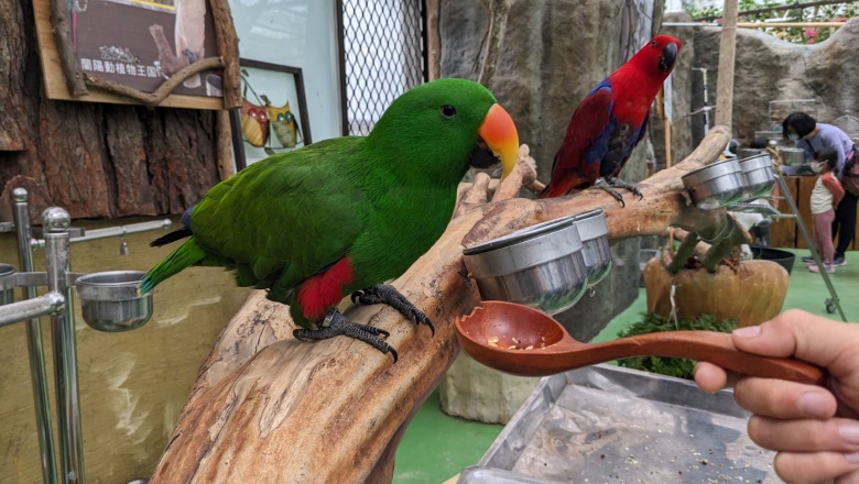 蘭陽動植物王國