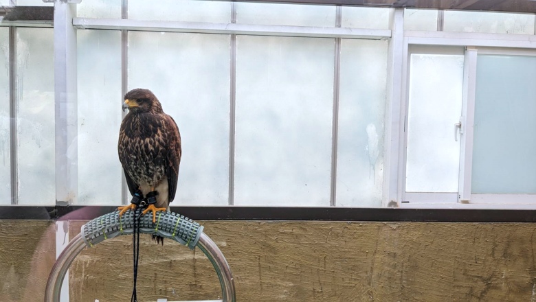 蘭陽動植物王國,農場