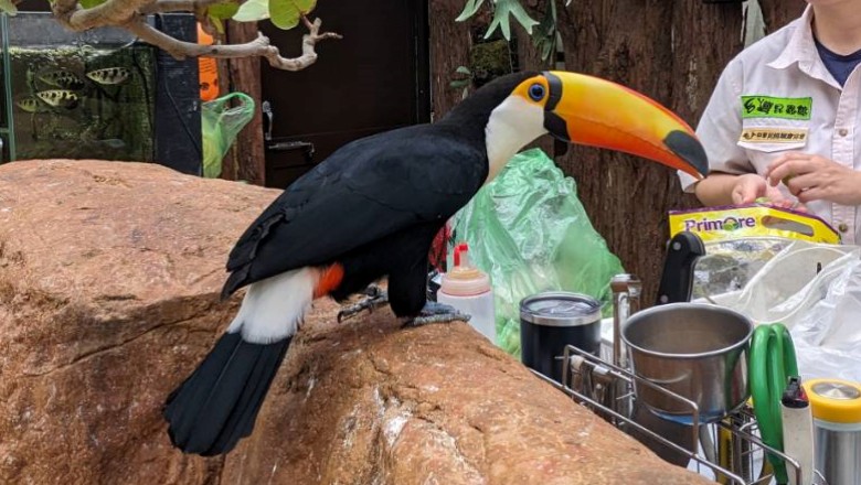 蘭陽動植物王國,農場