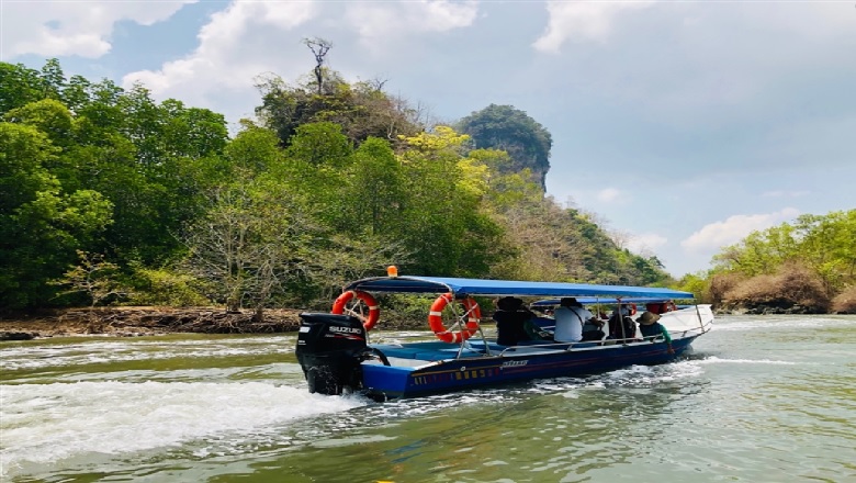 麒麟河紅樹林生態之旅