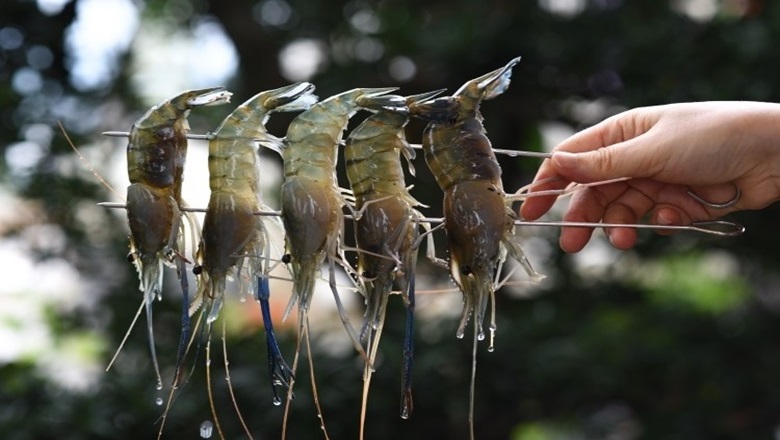 蘭陽動植物王國,農場