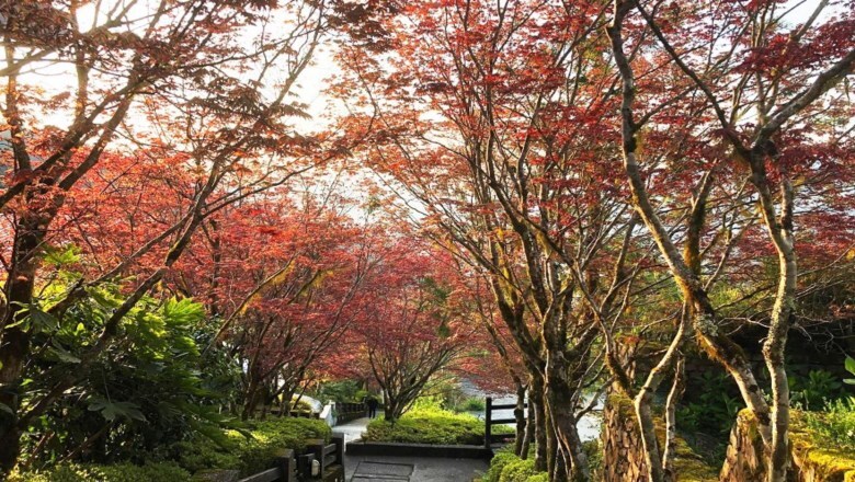 傳藝園區