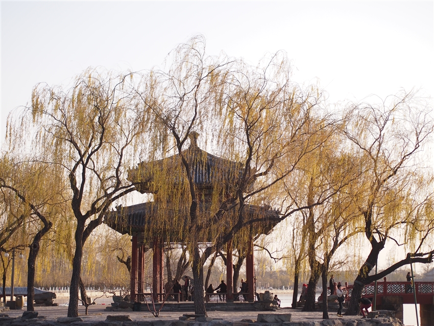 Day 11 destination 2