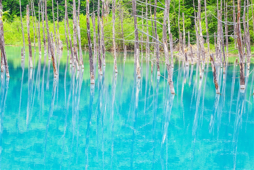 水彩画 北海道青池