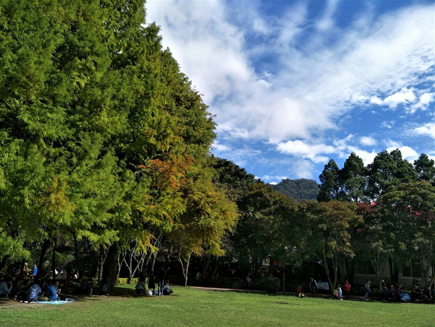 大人囝仔 夏日奧萬大避暑趣 鹿港老街三輪車 採香菇 Feeling18 特色小吃宴 升等溫泉二日 22tm914ow1 T 南投 雄獅旅遊