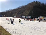 早鳥折２千｜首爾｜冬季瘋滑雪．暢玩愛寶樂園．南怡島雪境．淚之女王百貨．星空圖書館．日月樹木園(二站人參彩妝)五日｜高雄