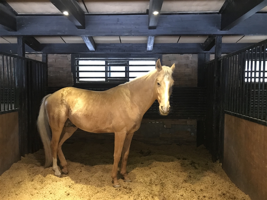 Day 12 destination 1