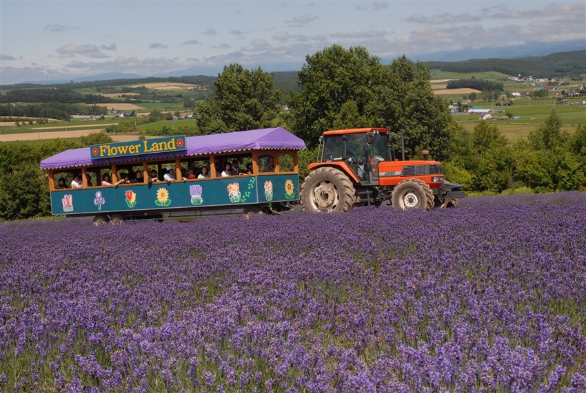 Day 4 destination 2