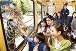 秋賞．首爾｜親子暢玩雙樂園～樂天世界 愛寶樂園．韓服玩樂景福宮．漢江遊船賞美景．潮流聖水洞巡禮(一站購物彩妝)六日｜高雄