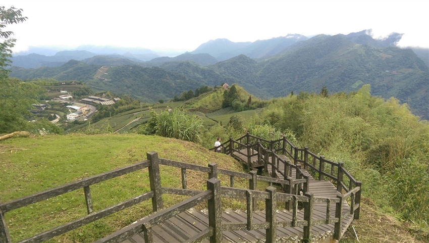 彰化 嘉義 夏天旅遊 阿里山迷糊步道 百年茄冬巨木 竹林美境 １ 日 21ts0ala X 嘉義 雄獅旅遊