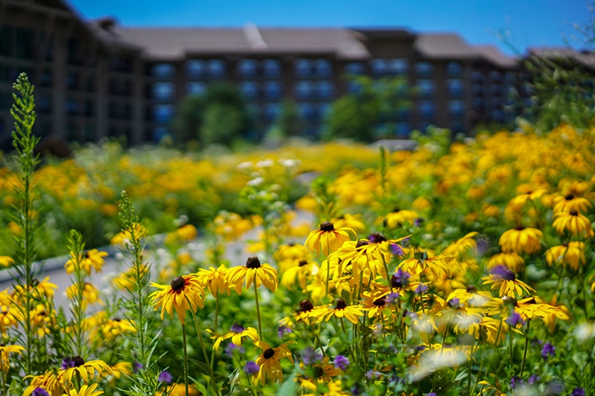 花現東北│長白山度假村-高山花園+鏡泊湖.盤錦紅海灘8日(無購物站.無自費)(24CR622CZBT)東北三省