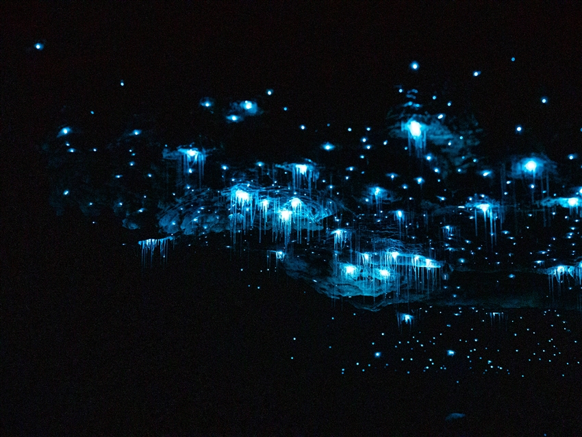 純淨暗夜星空