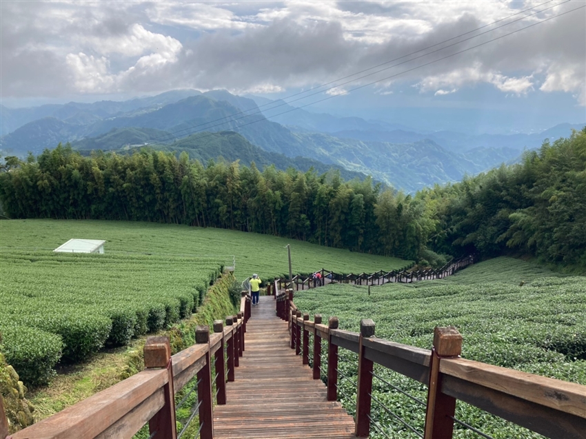 嘉義旅遊 大人囝仔 逐鹿部落 梅花鹿生態體驗 頂石棹步道 阿里山森林樂園二日 台中出發 22ts407a11 X 嘉義 雄獅旅遊