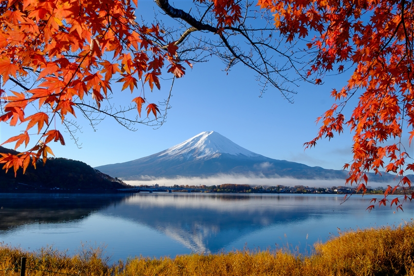 飽覽富士山美饌楓紅名湯