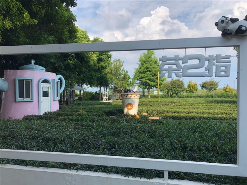 南投，茶二指-茶業故事館