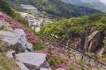 住宿保證｜首爾旅遊｜保證住萬豪RYSE.星空圖書館.穿韓服遊景福宮.南怡島美境.弘大自由逛.超市補貨(一站購物彩妝)五日