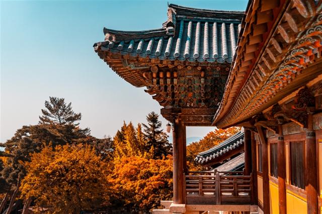 釜山慶州賞楓｜升等五星.紅流洞溪谷.金剛纜車楓紅.古都慶州賞楓.天空膠囊列車.豪華遊艇(彩妝)5日