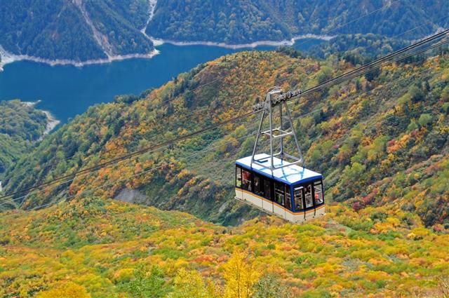 三零深度北陸全覽8日｜楓染立山黑部～上高地輕健行！黑部峽谷鐵道.小諸蒸餾所.戶隱神社.善光寺.金箔體驗.鰻魚飛驒牛美食｜保住犬山英迪格
