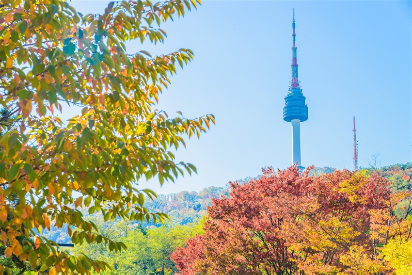 楓景秘境～旅展優惠｜首爾｜楓紅湖景.秋天金黃銀杏街道.濃濃秋意樂天世界.秋楓首爾塔.明洞半日自由逛四日