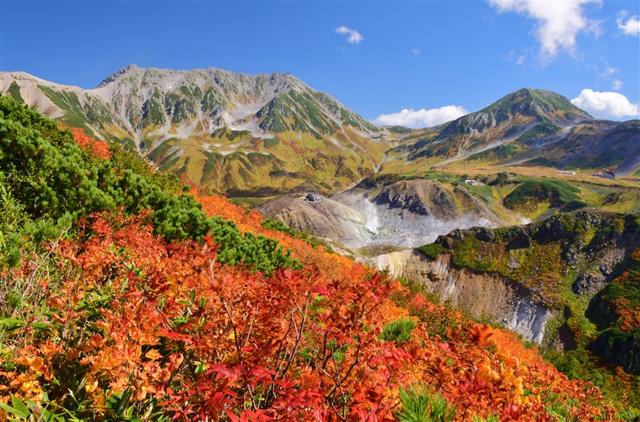 順道遊北陸｜秋戀立山黑部.百選溫泉.黑部峽谷小火車.上高地.合掌村.兼六園.飛驒高山5日
