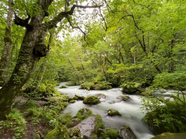 三零深度東北六縣｜百選溫泉.奧入瀨溪.銀山溫泉.嚴美溪.合掌村.五色沼.牧場花園.仙台松島.和牛美酒8日