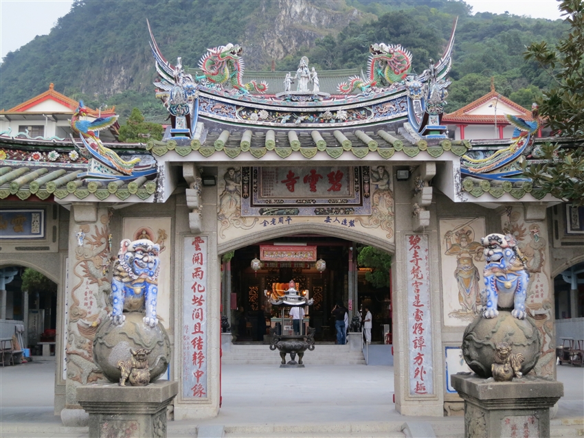 泰國櫻花～花旗木