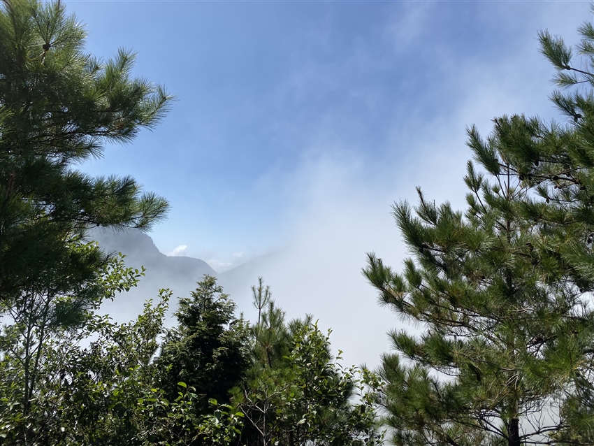 觀霧山莊