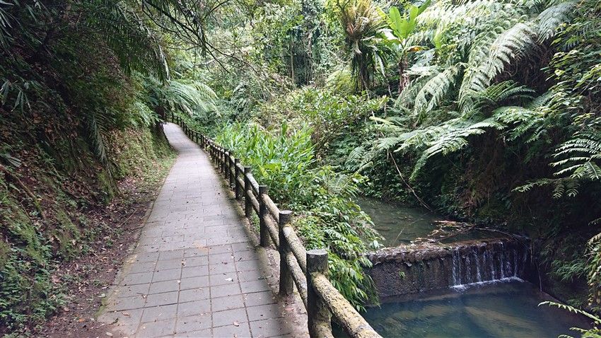 蝙蝠洞
