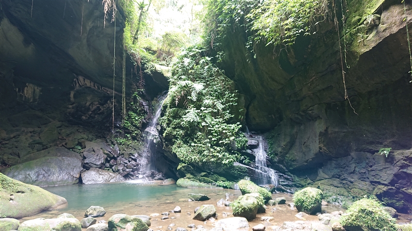 台灣桃園市 三民蝙蝠洞