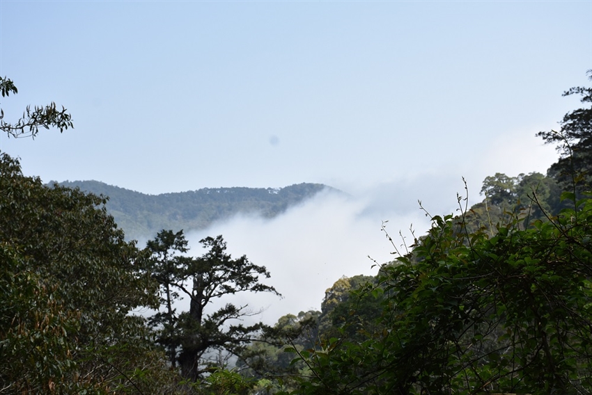 拉拉山