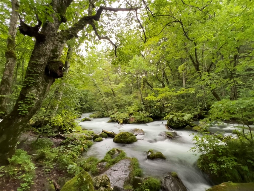 三零深度東北六縣|百選溫泉.奧入瀨溪.銀山溫泉.嚴美溪.合掌村.五色沼.牧場花園.仙台松島.和牛美酒8日