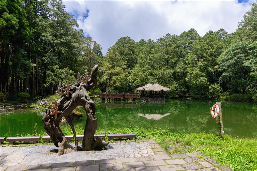 阿里山國家森林遊樂區